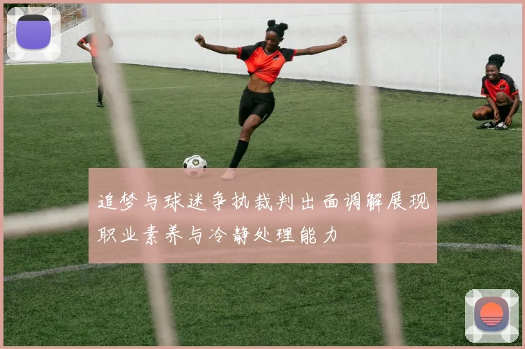 追梦与球迷争执裁判出面调解展现职业素养与冷静处理能力