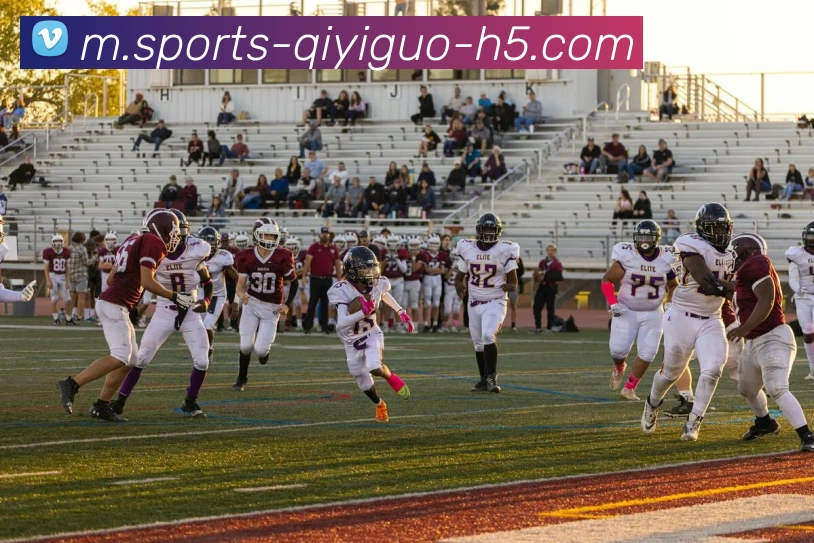 奇异果体育平台生态图